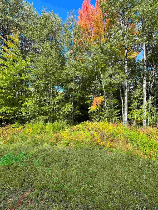 4.72 Acres on Lavaque Bypass, Hermantown, MN 55811