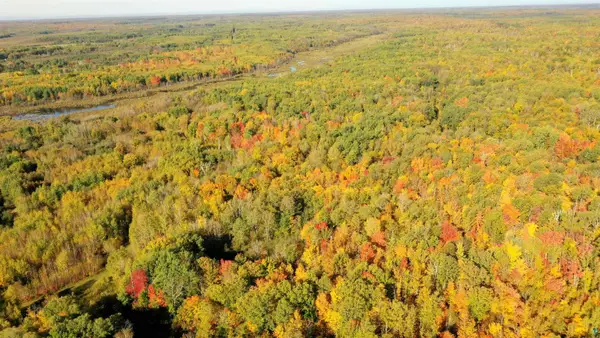 xxx County Rd 6, Kettle River, MN 55757