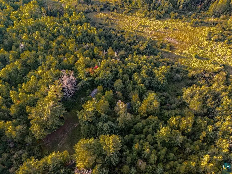XXX Crane Lake Rd, Orr, MN 55771 - #3