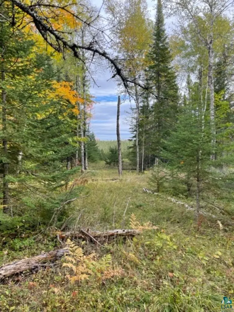 XXXX Sunny Ln, Duluth, MN 55811 - #2
