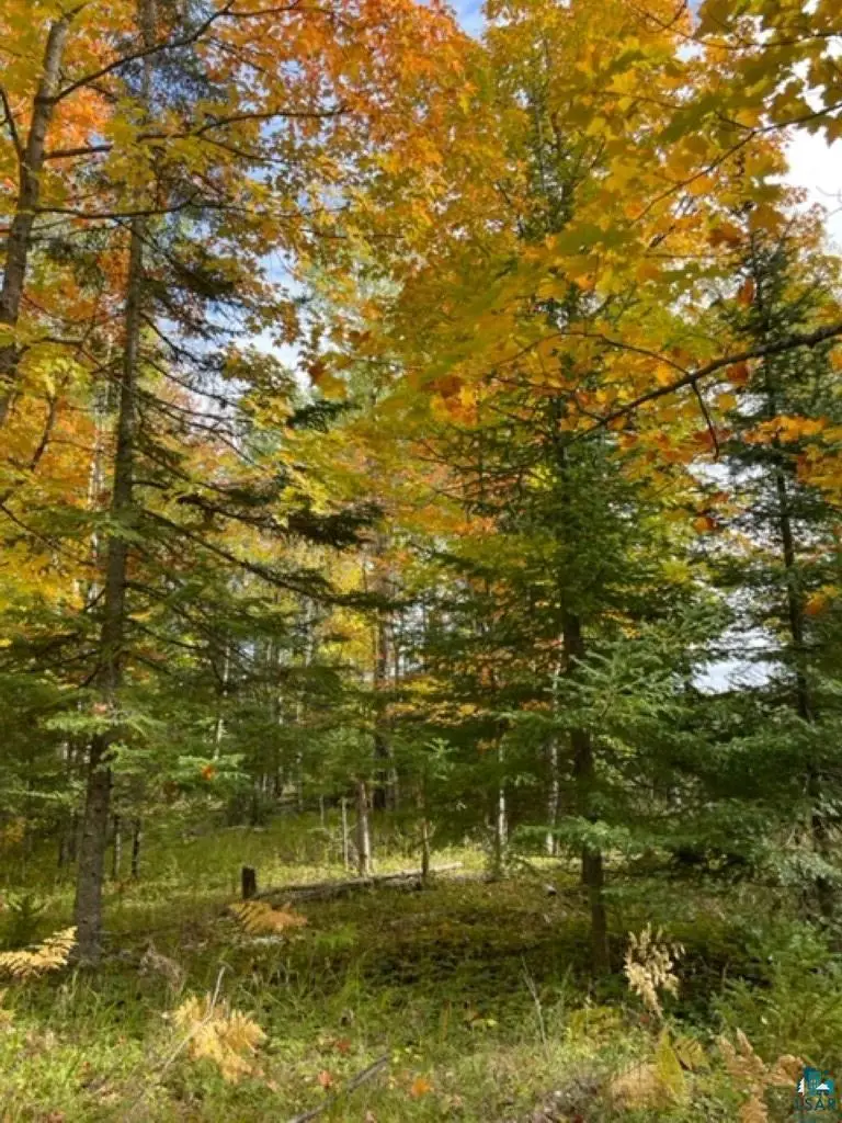 XXXX Sunny Ln, Duluth, MN 55811 - #3
