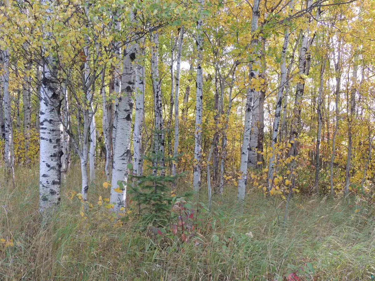 XB Brandon Ln, Grand Marais, MN 55604 - #1