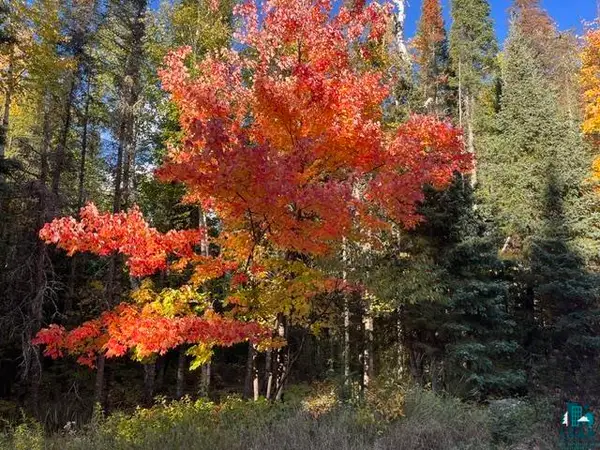 TBD Lost Lake Rd, Tower, MN 55790
