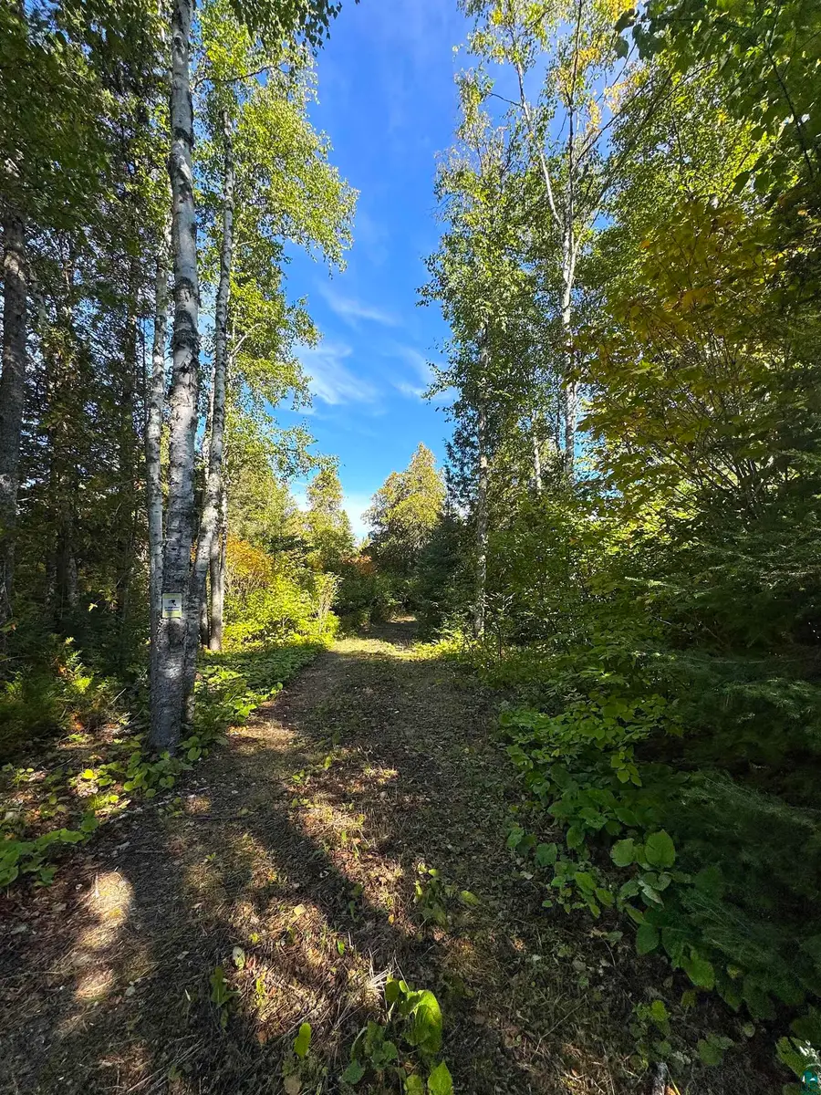 85 Powers Lake Rd, Hovland, MN 55606 - #2