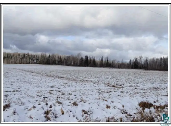 TBD Willow Rd, Zim, MN 55738 - #1