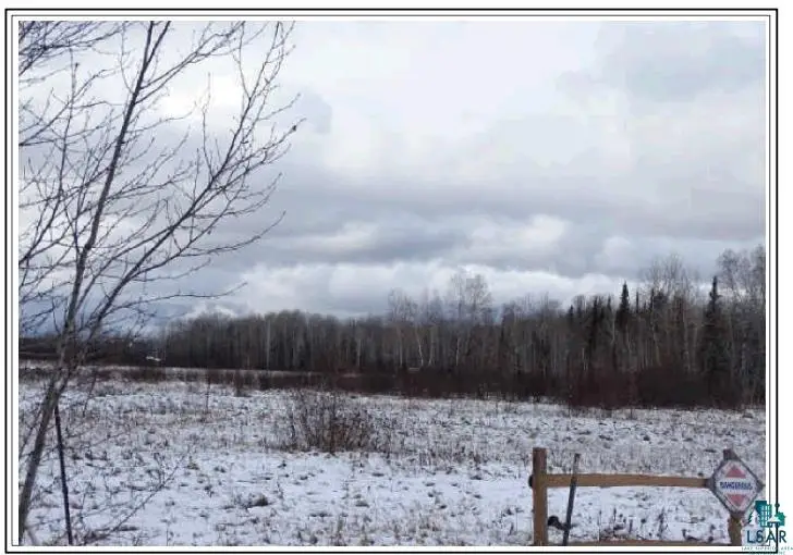 TBD Willow Rd, Zim, MN 55738 - #3