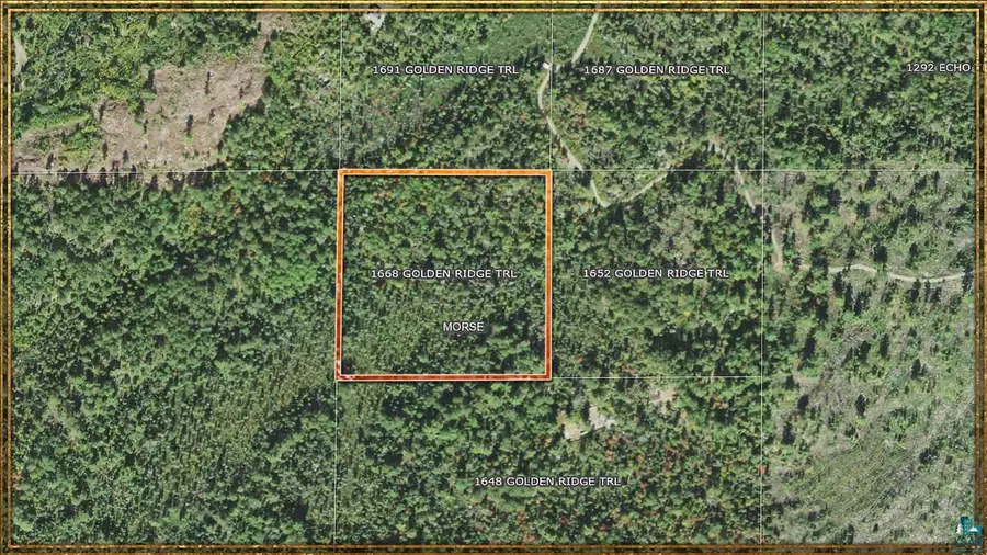 1668 Golden Ridge Tr, Ely, MN 55731 - #2