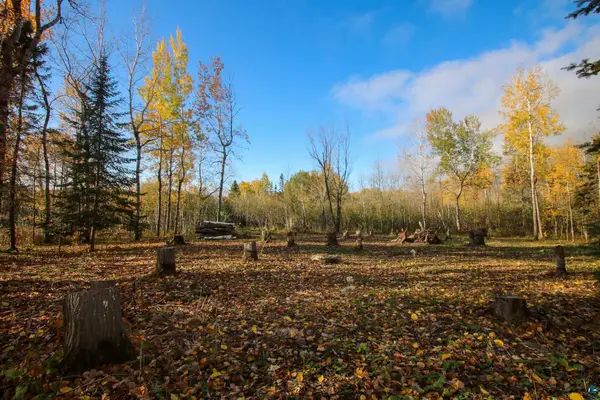 xxx Rose Rd, Hermantown, MN 55811