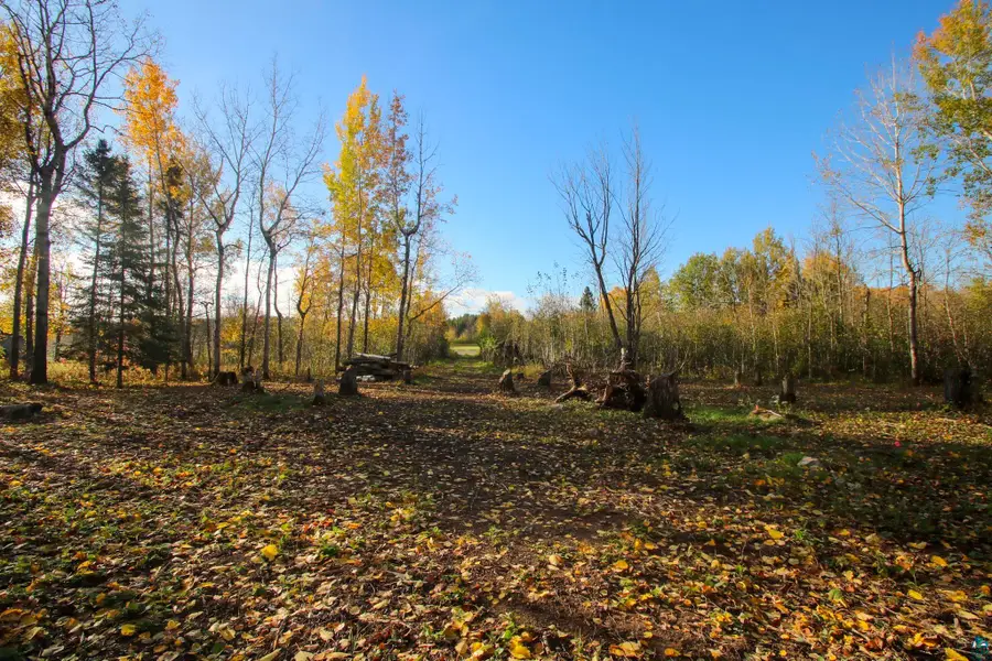 xxx Rose Rd, Hermantown, MN 55811 - #2