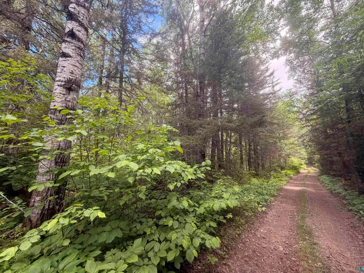 XX Crossover Rd, Hovland, MN 55606 - #1