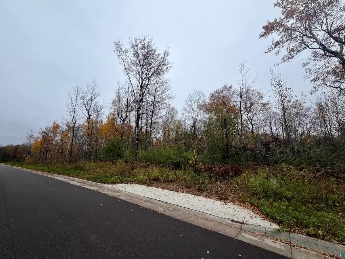 1xx Yellow Birch Trail, Duluth, MN 55806 - #1