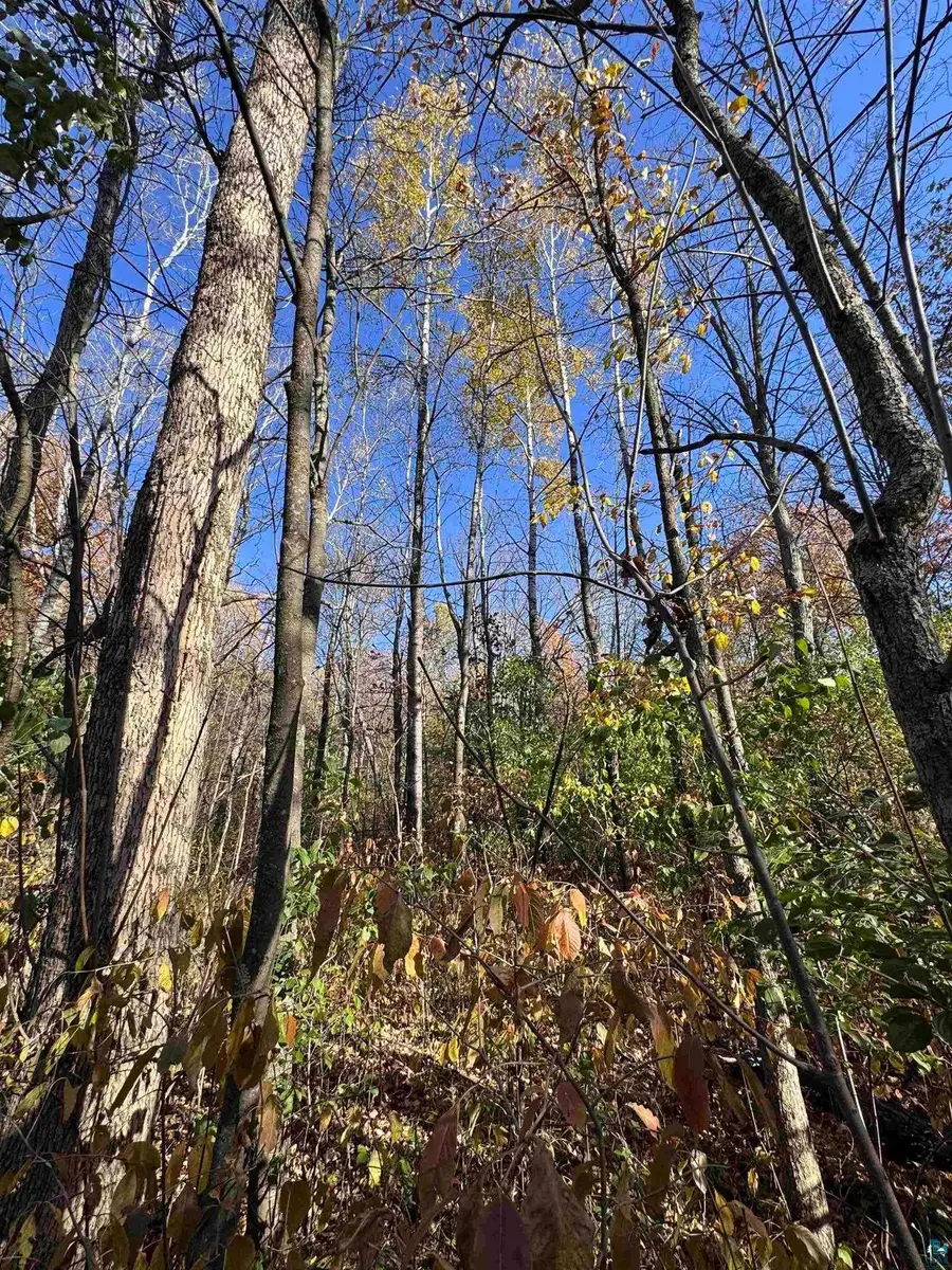 Address Withheld By Seller, Sandstone, MN 55072 - #3