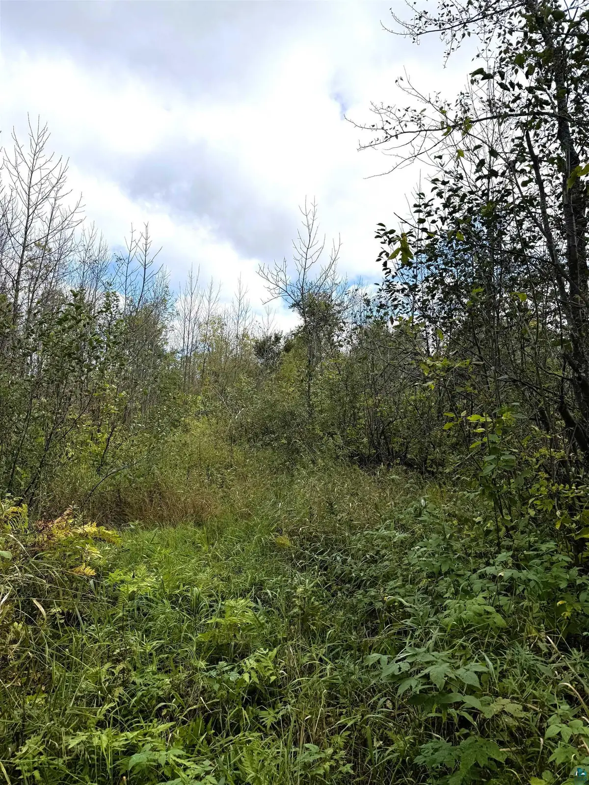 tbd Trail Rd, Barnum, MN 55707 - #1