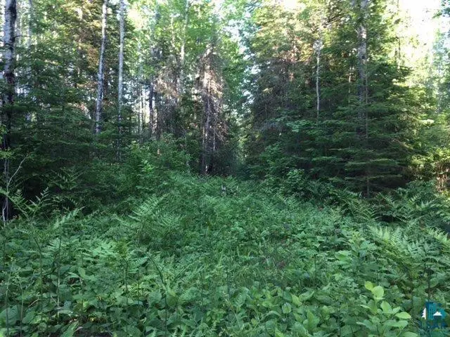 1XXX Camp 20 Rd, Hovland, MN 55606 - #2