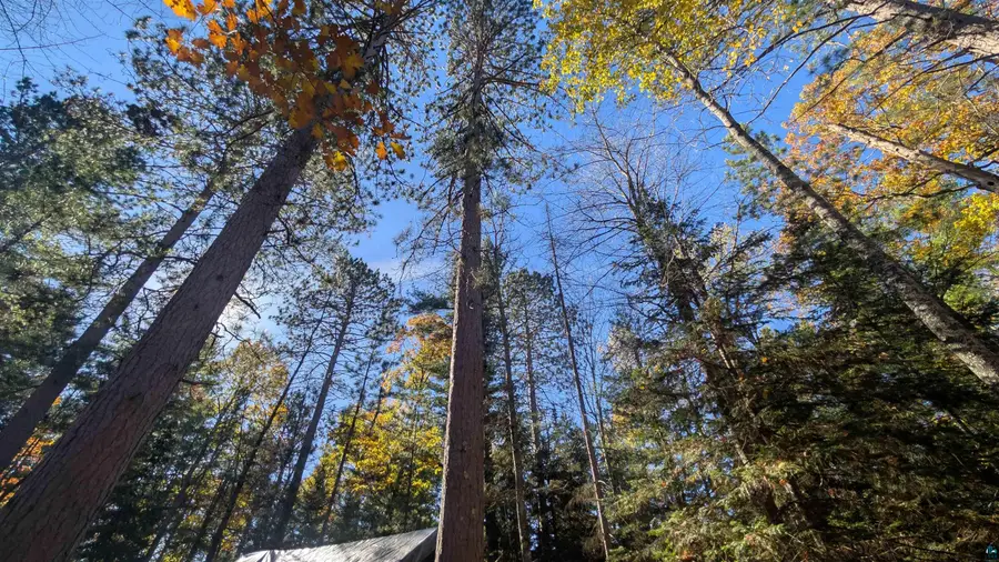 83XXX Campbell Rd, Herbster, WI 54844 - #2