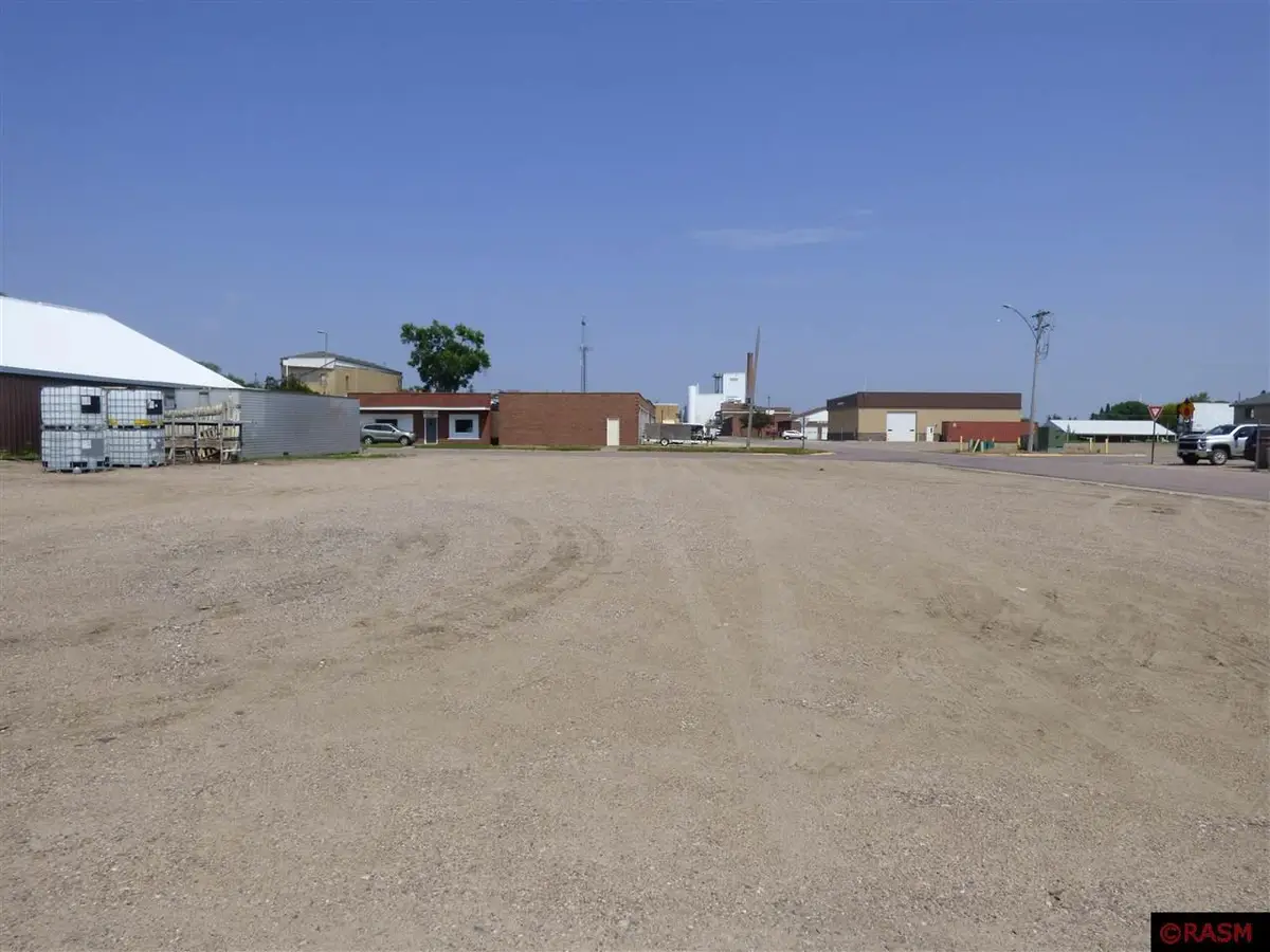 TBD N Renville Street, Winthrop, MN 55396 - #1