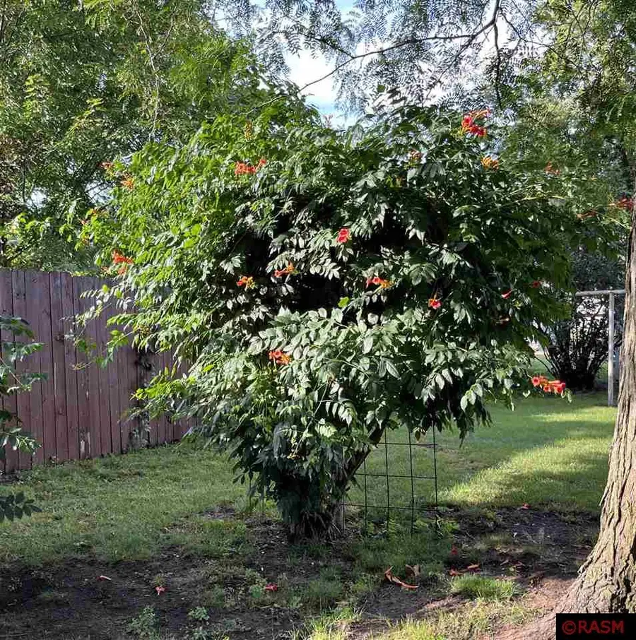 1308 S Franklin Street, New Ulm, MN 56073 - Image #3