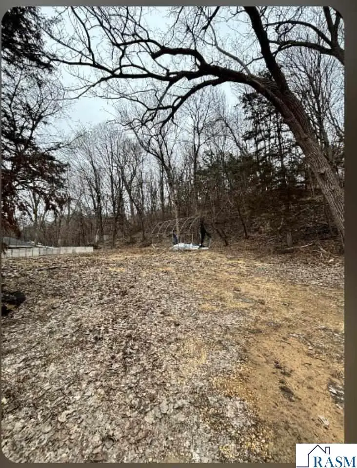 1117 N 7th Street, Mankato, MN 56001 - #3