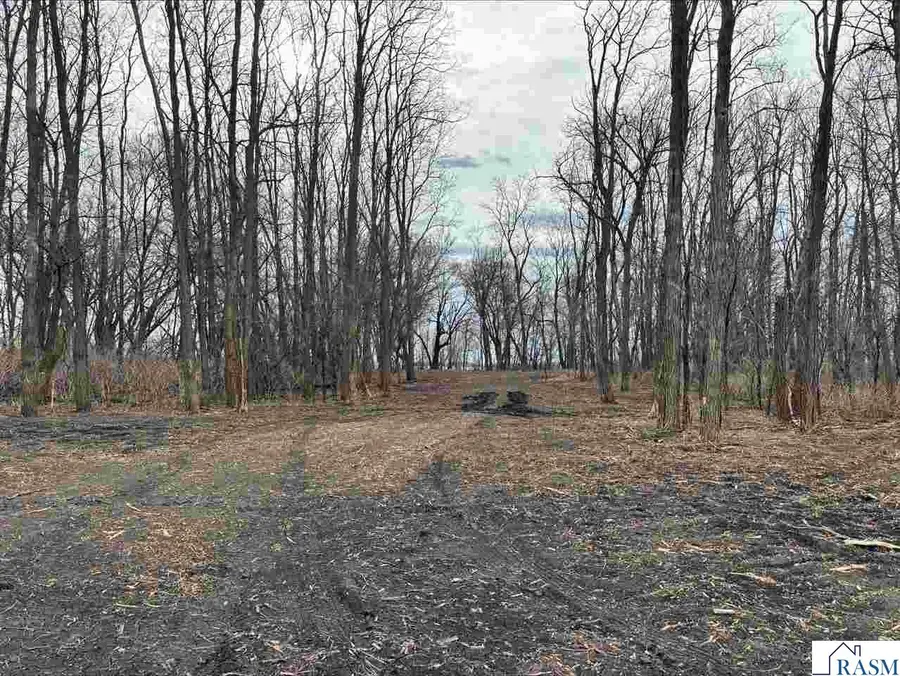 19091 568th Avenue, Mankato, MN 56001 - #3