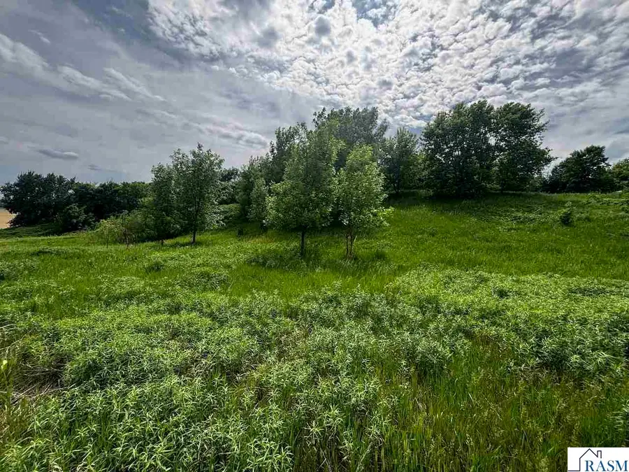 TBD State Hwy 22 Highway, Saint Peter, MN 56082 - #3