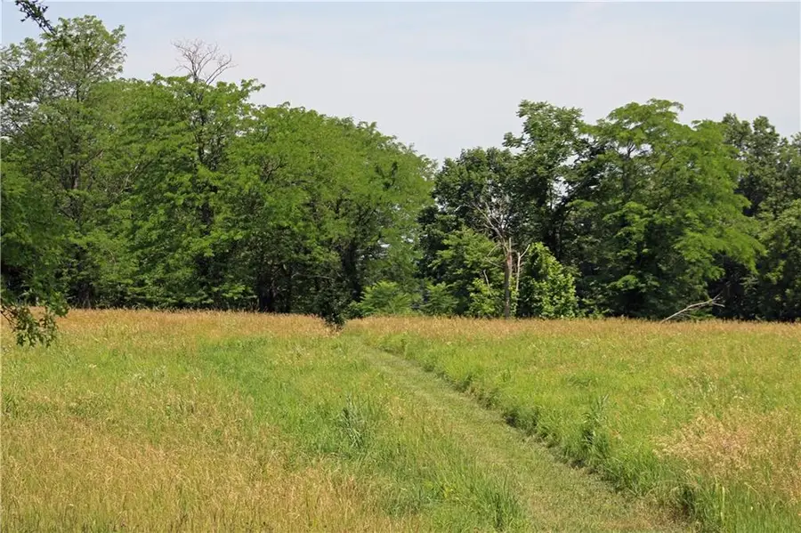 TBD Lot D E 269th Street, Freeman, MO 64746 - Image #3