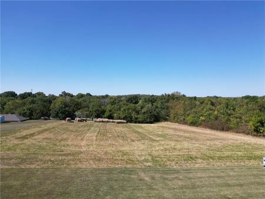 N Institute Street, Richmond, MO 64085 - Image #2