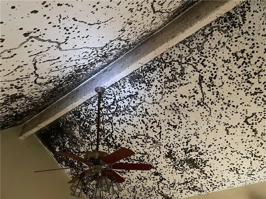 7918 Bradshaw Street, Lenexa, KS 66215 - Image #2