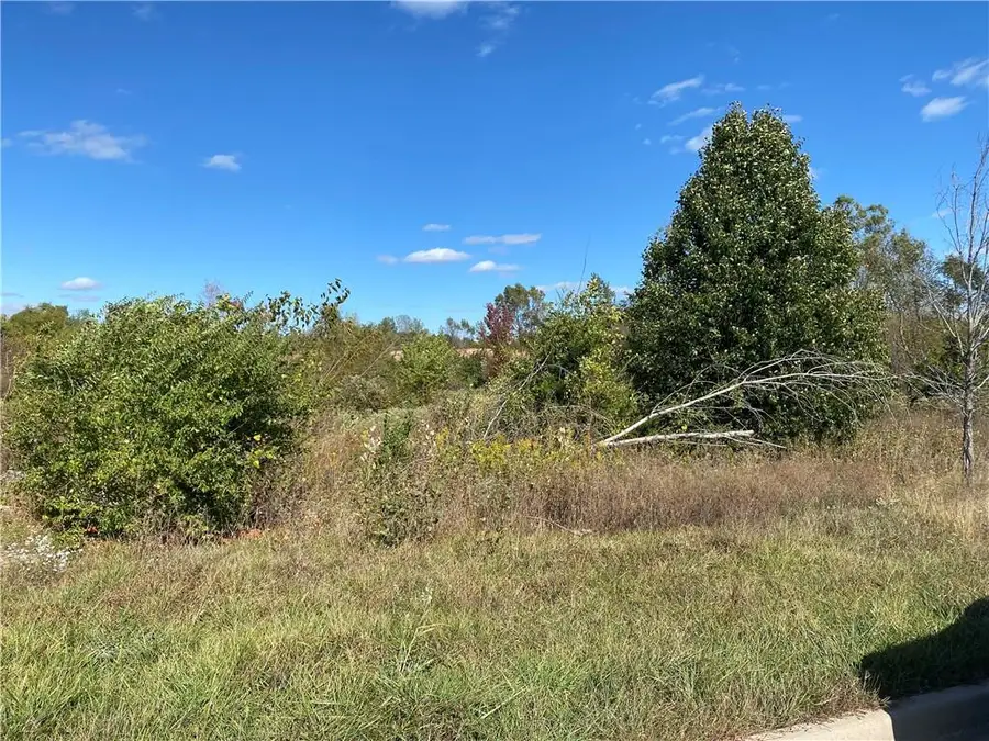 SW Brookside Dr & Sw Mason School Road, Blue Springs, MO 64064 - Image #2