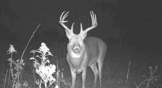 20 AC M/L Oregon Road, Richmond, KS 66080 - Image #2