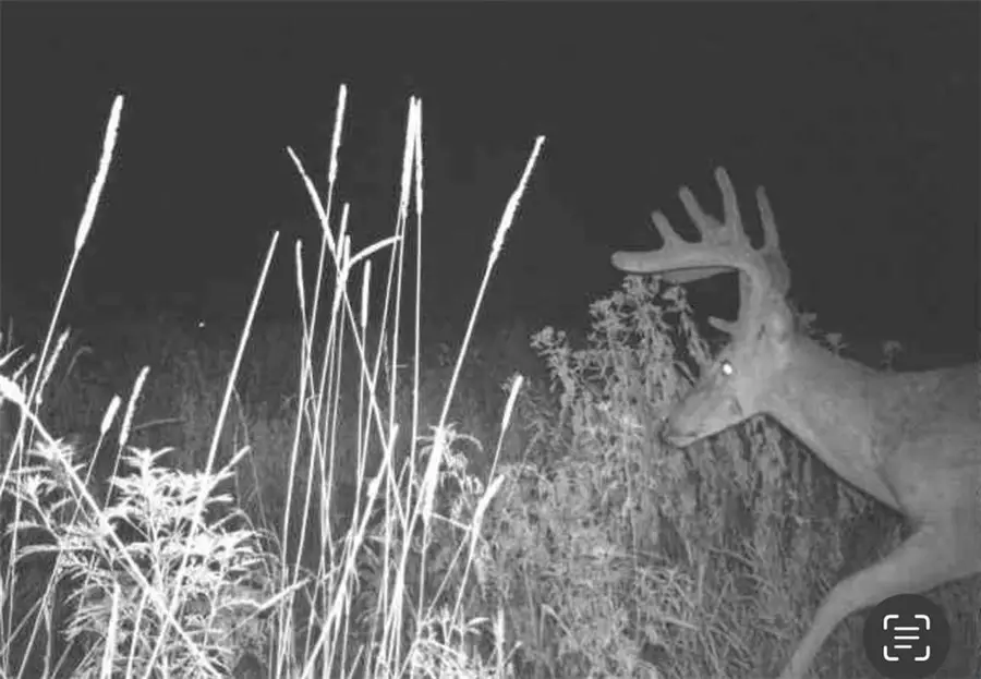 20 AC M/L Oregon Road, Richmond, KS 66080 - Image #3