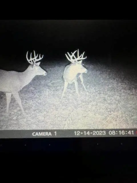 1999 Native Road, Fort Scott, KS 66701 - Image #1