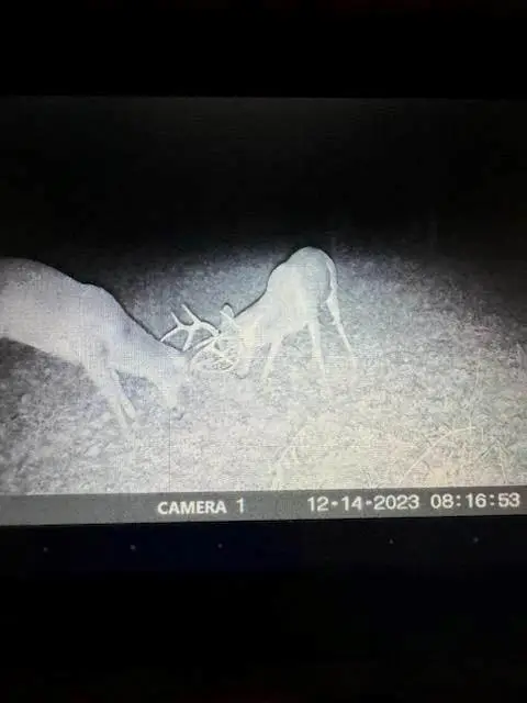 1999 Native Road, Fort Scott, KS 66701 - Image #3