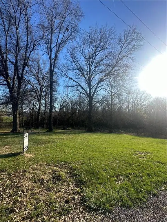 Lot 13 Virginia Street, Sweet Springs, MO 65351 - Image #1