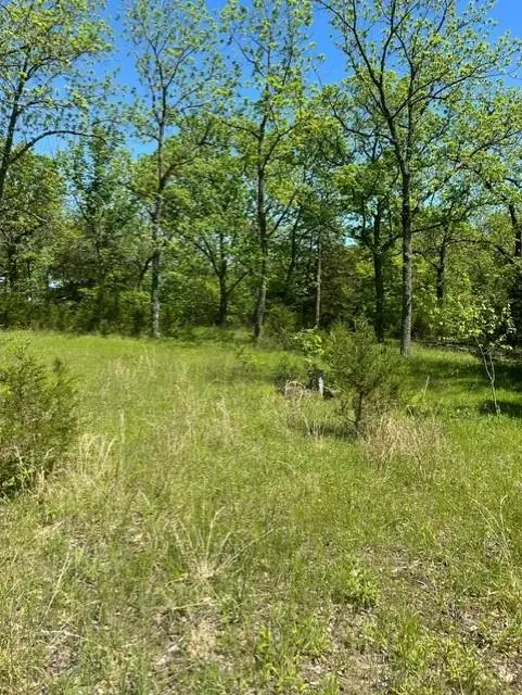 000 County Road 6 Road, Warsaw, MO 65355 - Image #2