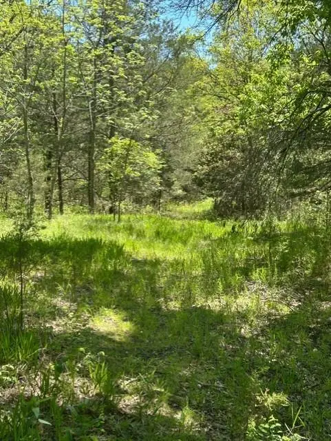 000 County Road 6 Road, Warsaw, MO 65355 - Image #3