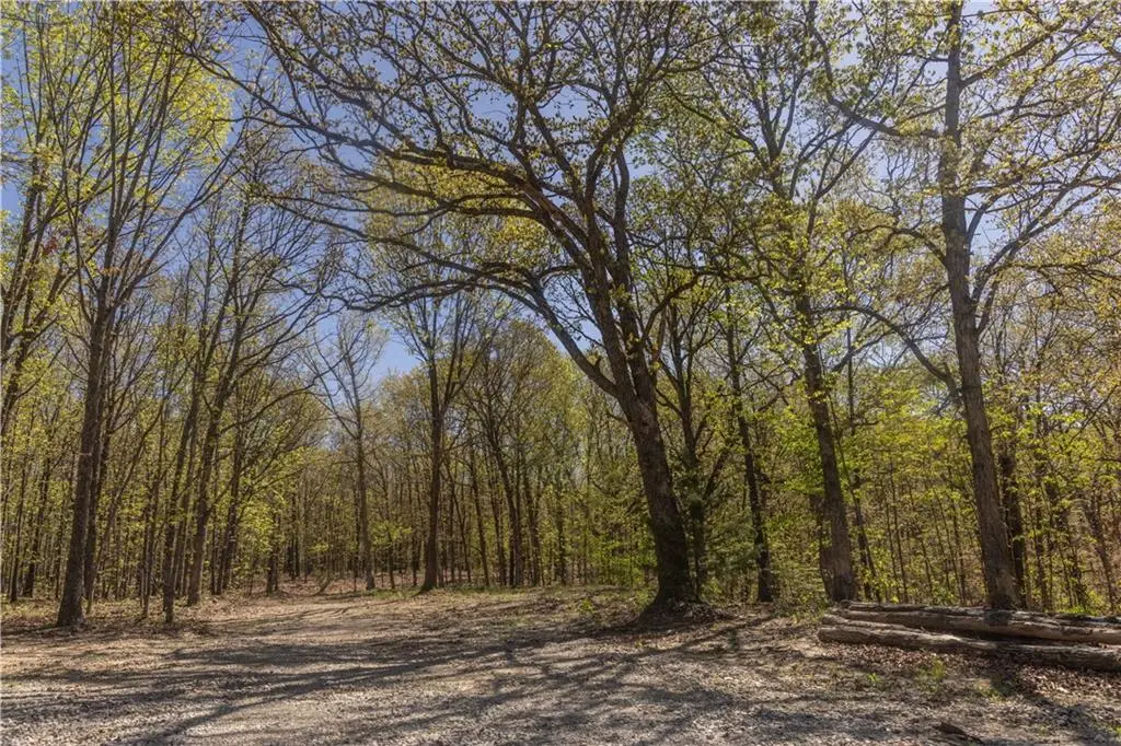 27064 Hickory Tree Lane, Lincoln, MO 65338 - Image #1