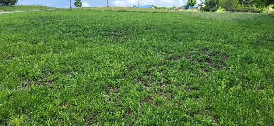 Lot #1193 Lake Viking Terrace, Gallatin, MO 64640 - Image #2