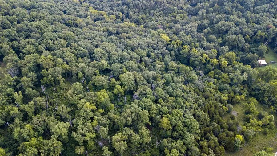 32893 Cooney Creek Road, Cole, MO 65533 - Image #2