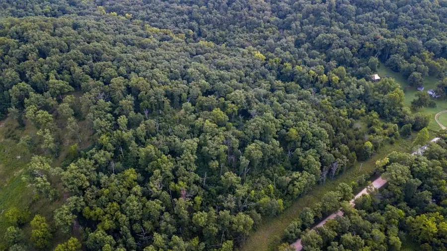 32893 Cooney Creek Road, Cole, MO 65533 - Image #3