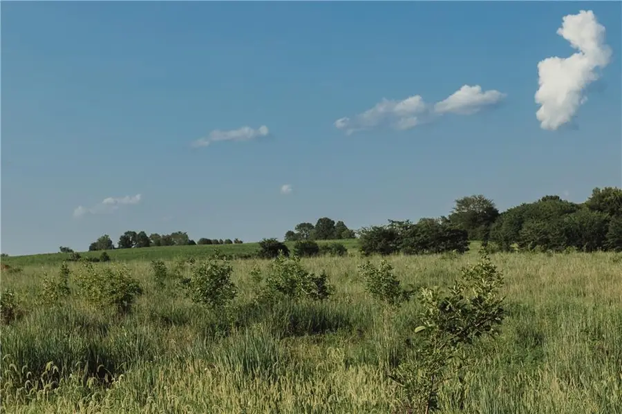 25401 S L L Lane, Garden City, MO 64747 - Image #3