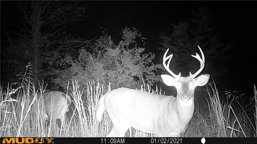 33784 W 168th Street, Lawson, MO 64062 - Image #3