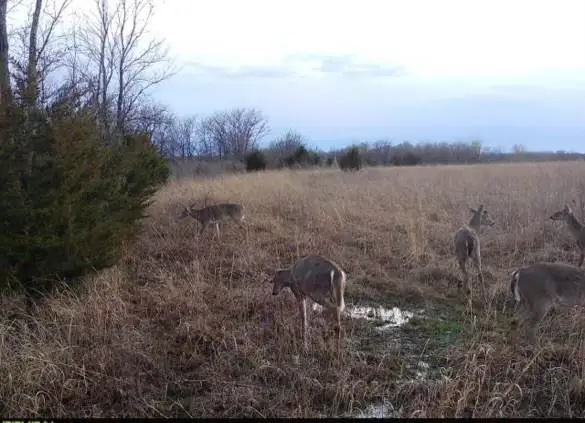 36707 Spring Valley Road, Louisburg, KS 66053 - Image #2