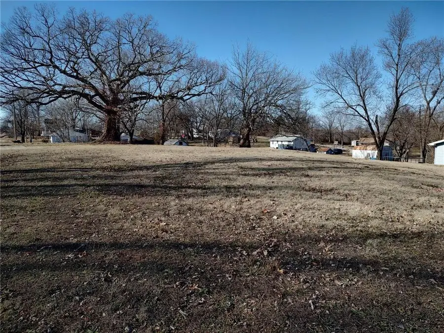 307 W Springs Street, El Dorado Springs, MO 64744 - Image #2