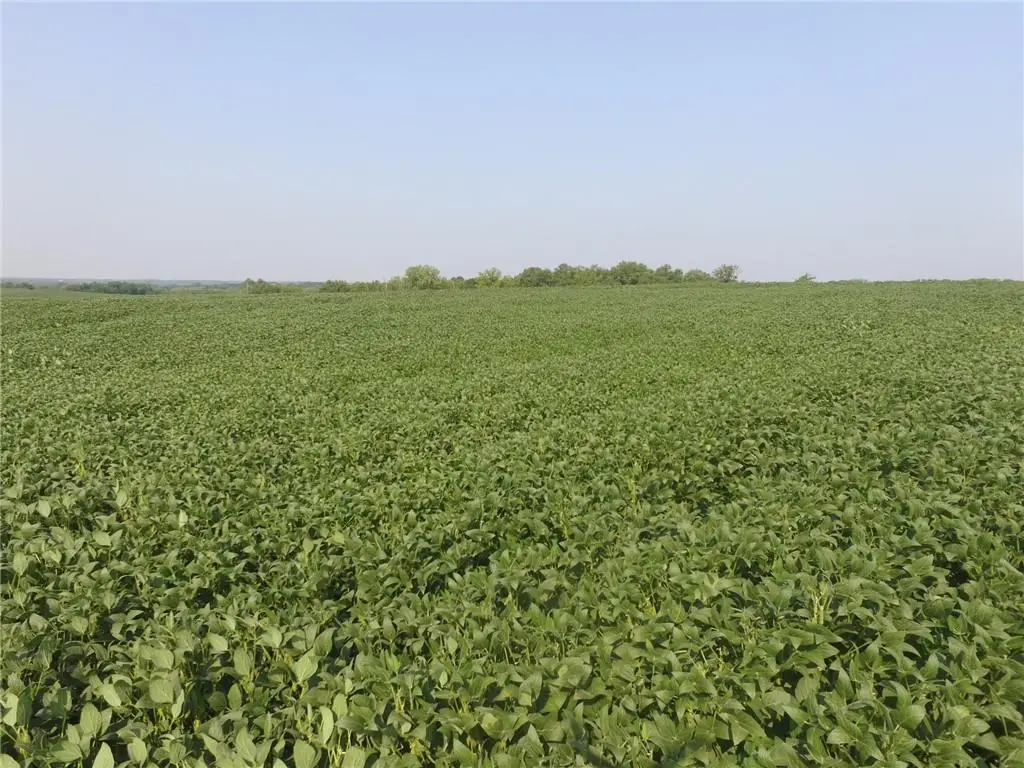 Cc Highway, Gilman City, MO 64642 - Image #1