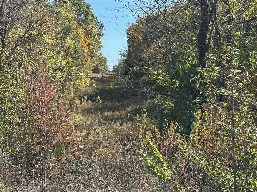 11315 Hollingsworth Road, Kansas City, KS 66109 - Image #3