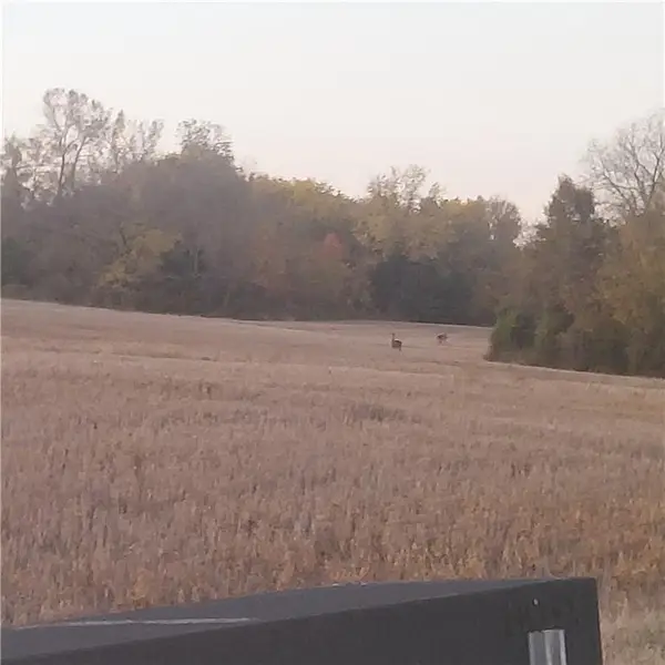 4-acres E 315th Street, Drexel, MO 64742