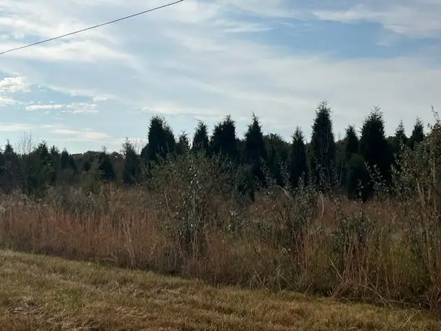 0000 Shady Lane, High Hill, MO 63350 - Image #3