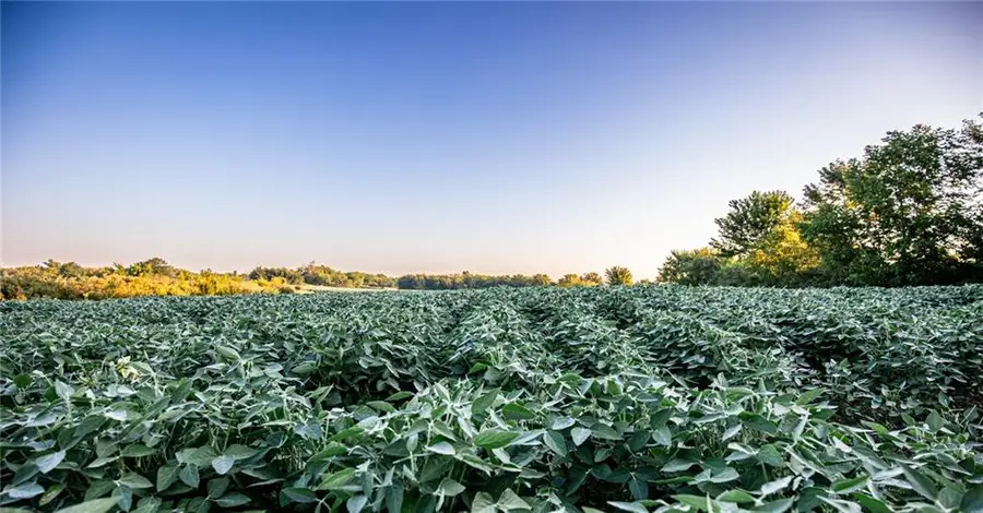 0000 Hedge Lane, Paola, KS 66071 - Image #3