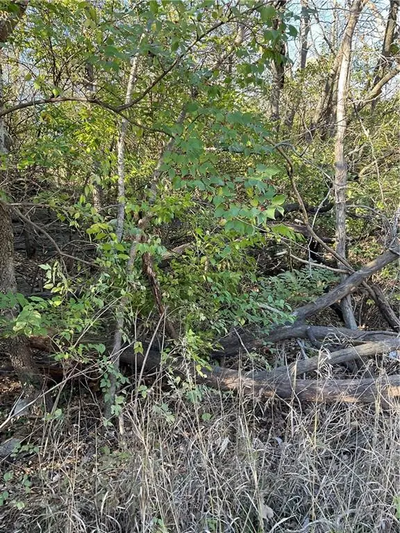 8822 E 49th Street, Kansas City, MO 64133 - Image #3