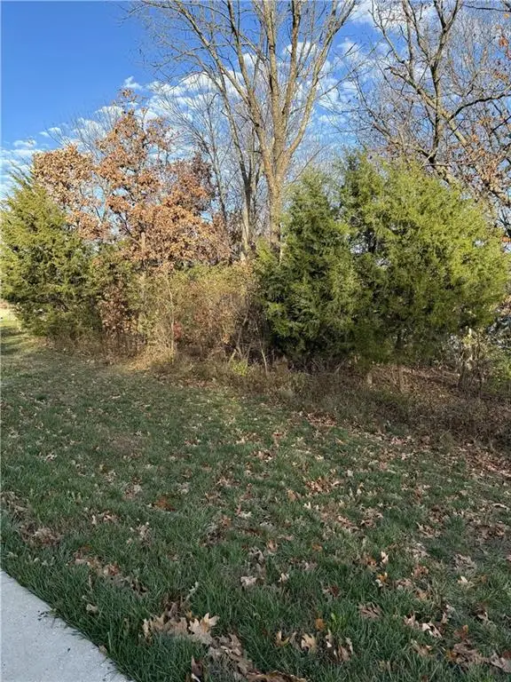 16505 Macallister Court, Loch Lloyd, MO 64012 - Image #3